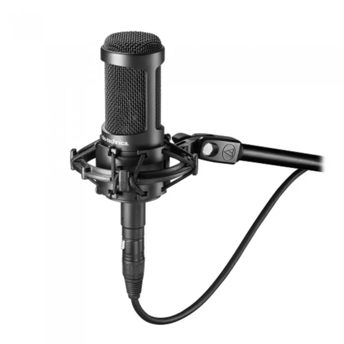 Audio Technica AT2050 Multi-Pattern Condenser Microphone - Image 2