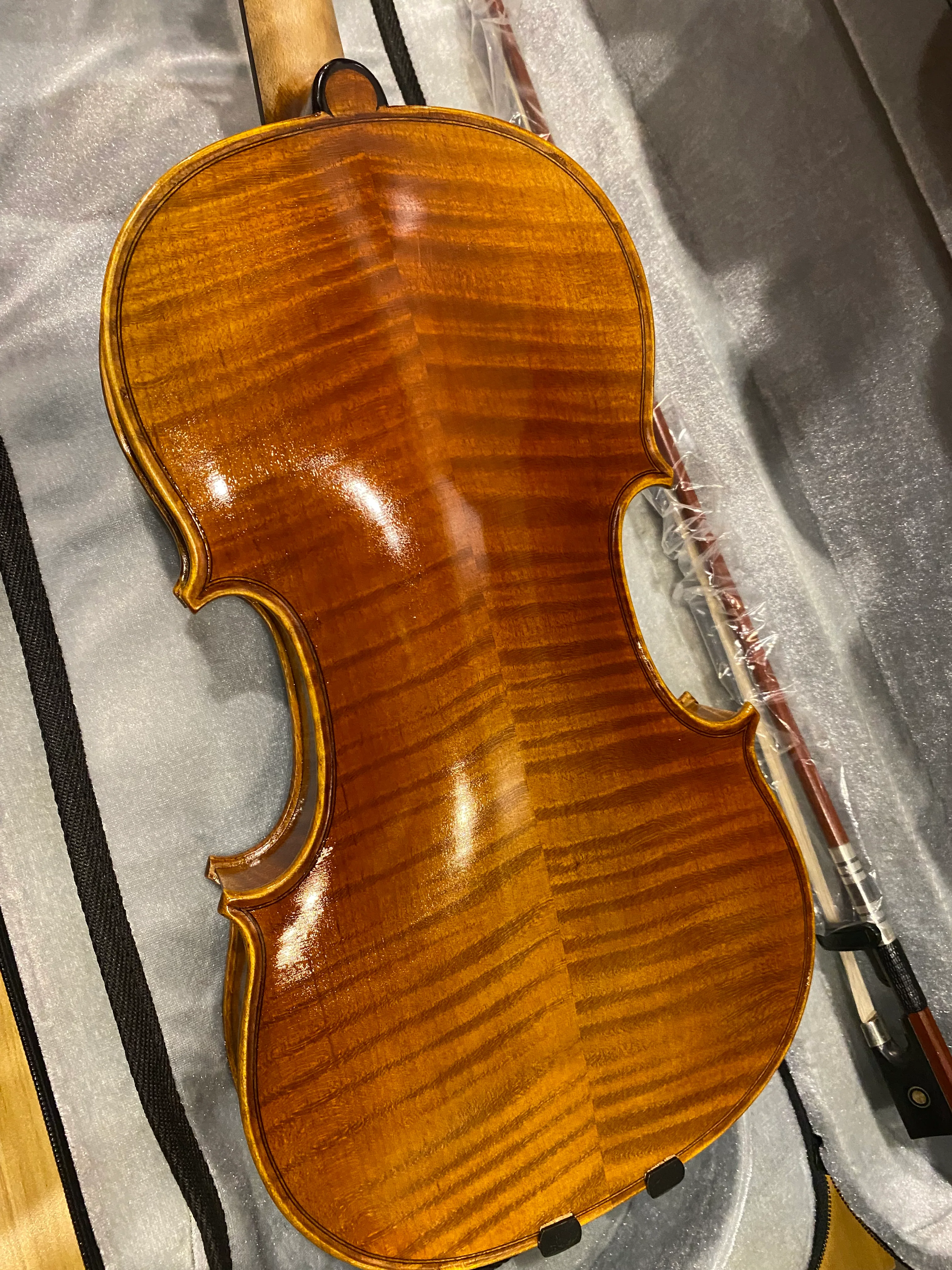 Benjamin Kienz Selection VPR50 4/4 Size Violin with Case for 12+ years old - Image 2