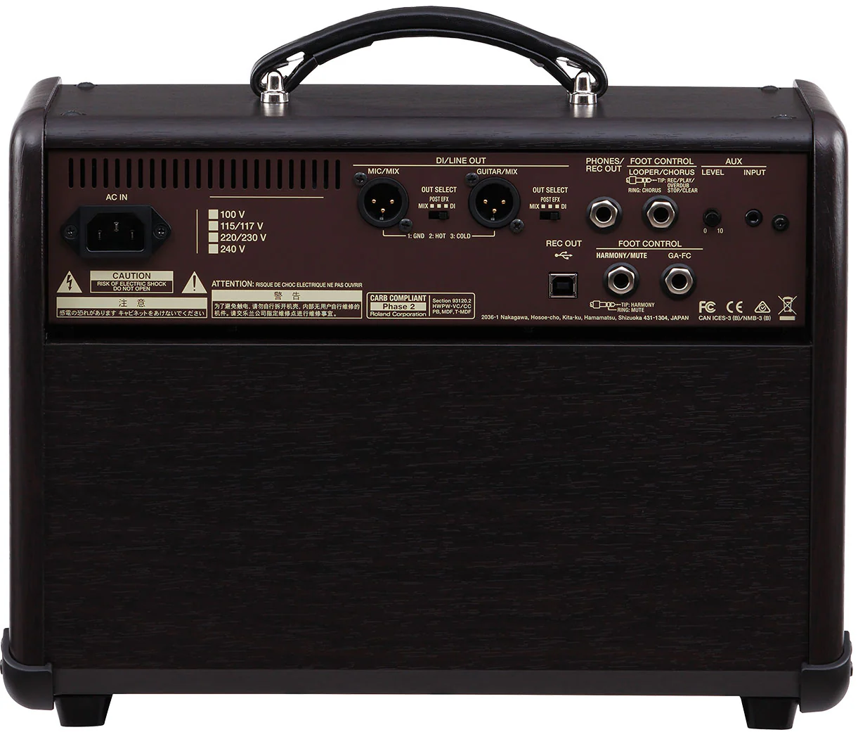 Boss Acoustic Singer Live 60-watt Acoustic Combo Amplifier - Image 4