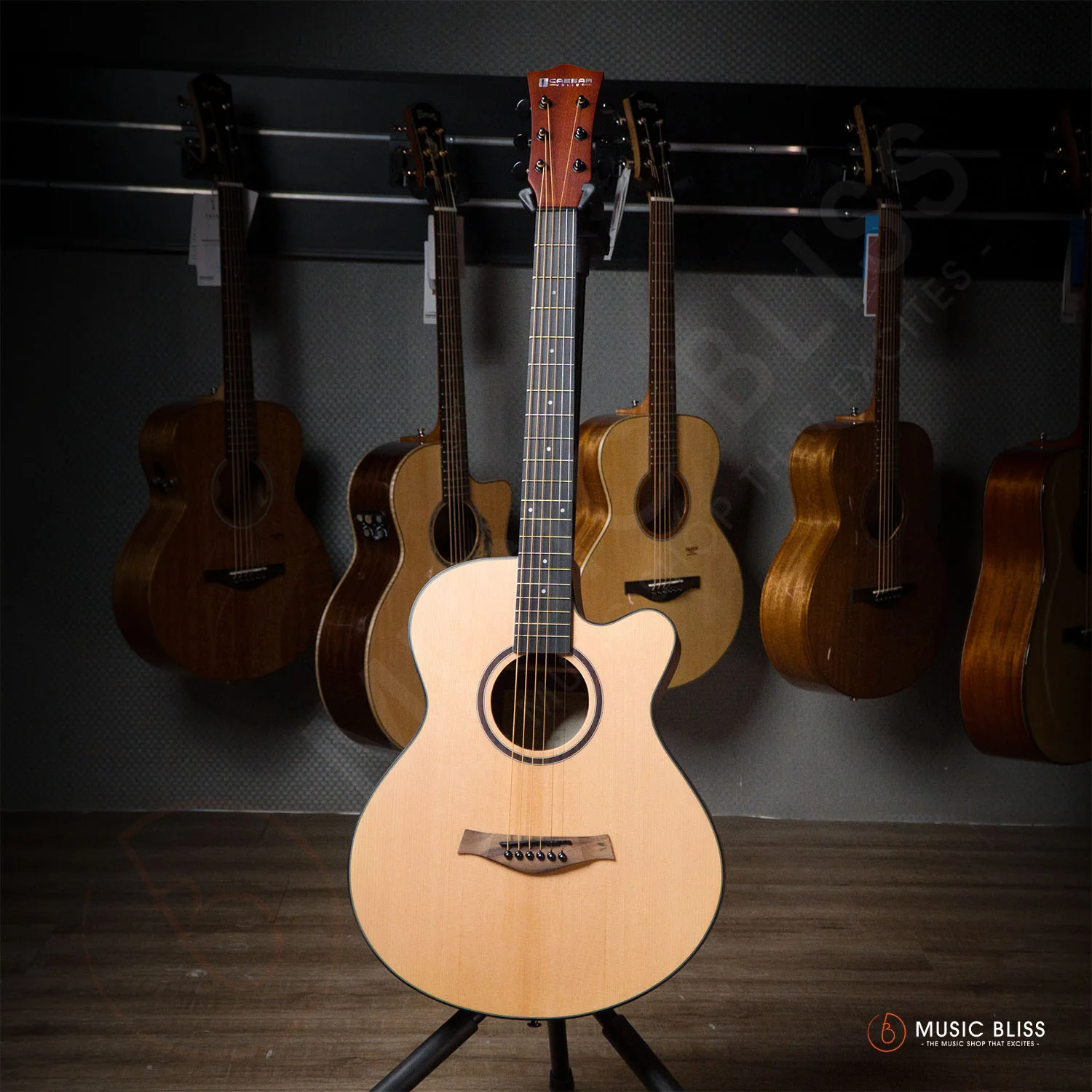 Caesar WL-700-N Budget Beginner 40-inch Matte Cutaway Body Acoustic Guitar - Natural - Image 4