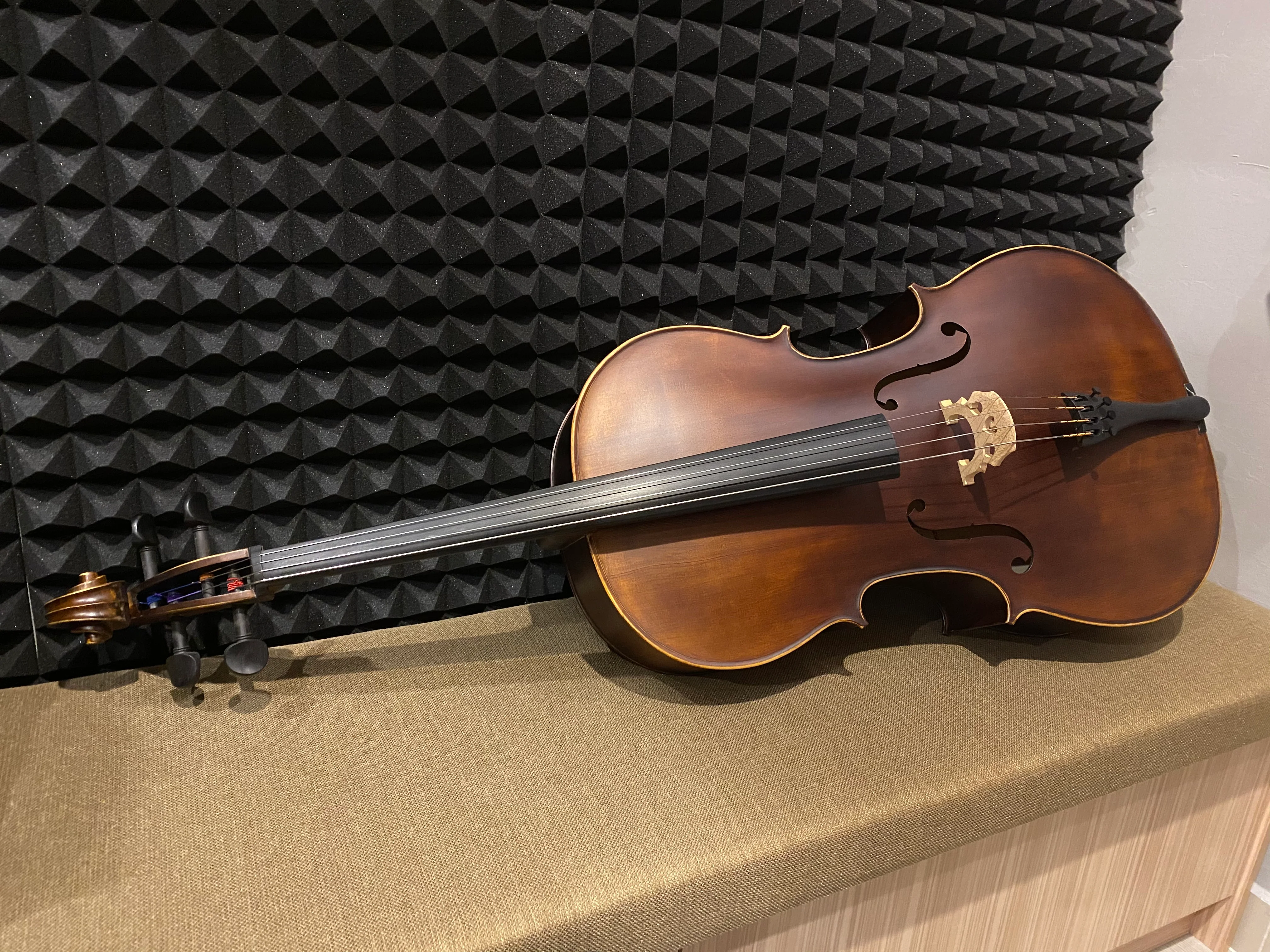 Carlo Magdini VC100 7/8 Cello with Bag - Image 3
