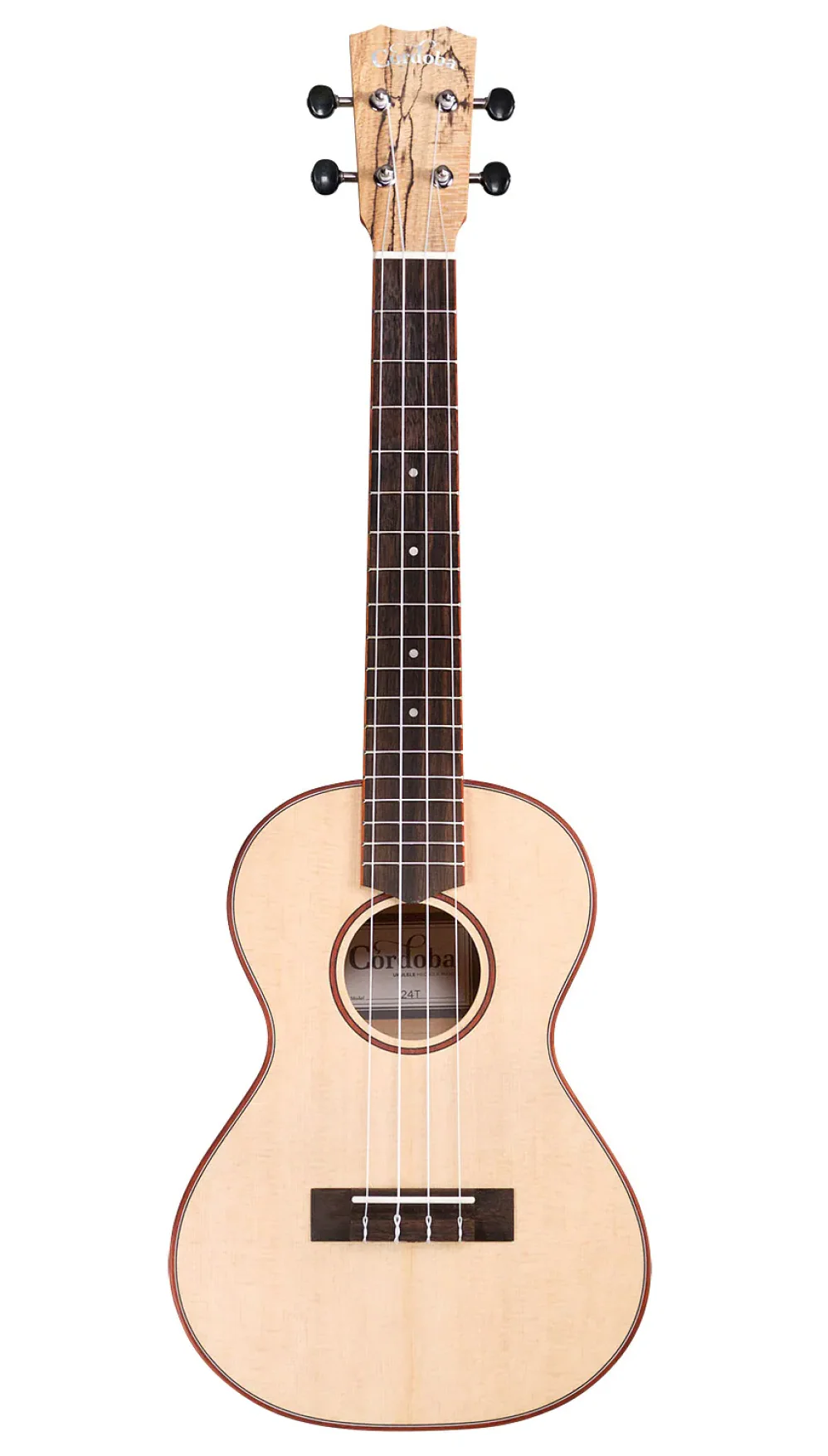 Cordoba 24T Tenor Ukulele - Spruce Top, Maple Back & Sides - Image 2