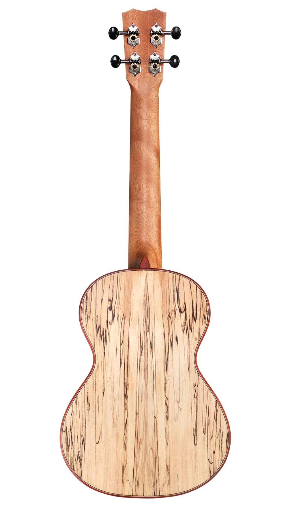Cordoba 24T Tenor Ukulele - Spruce Top, Maple Back & Sides - Image 3