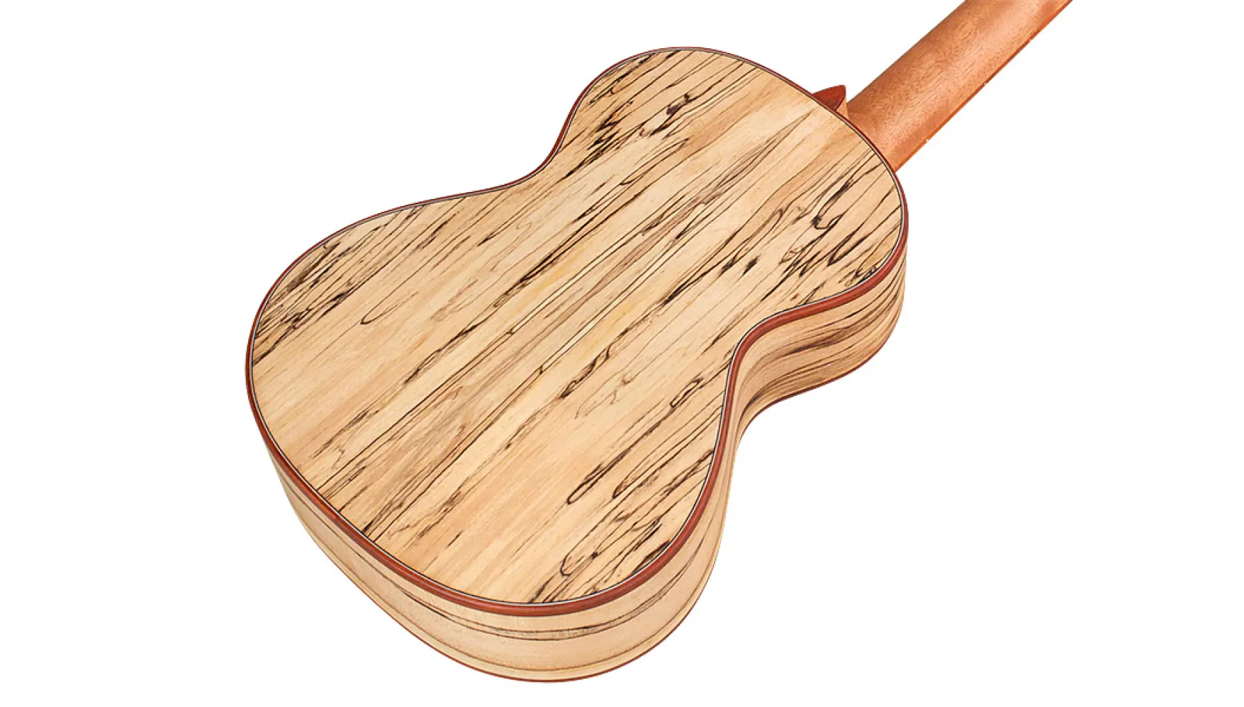Cordoba 24T Tenor Ukulele - Spruce Top, Maple Back & Sides - Image 5