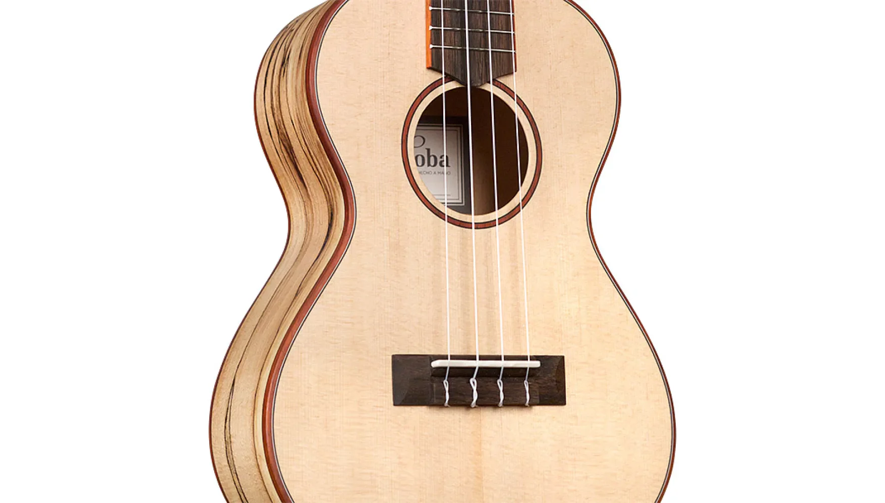 Cordoba 24T Tenor Ukulele - Spruce Top, Maple Back & Sides - Image 6
