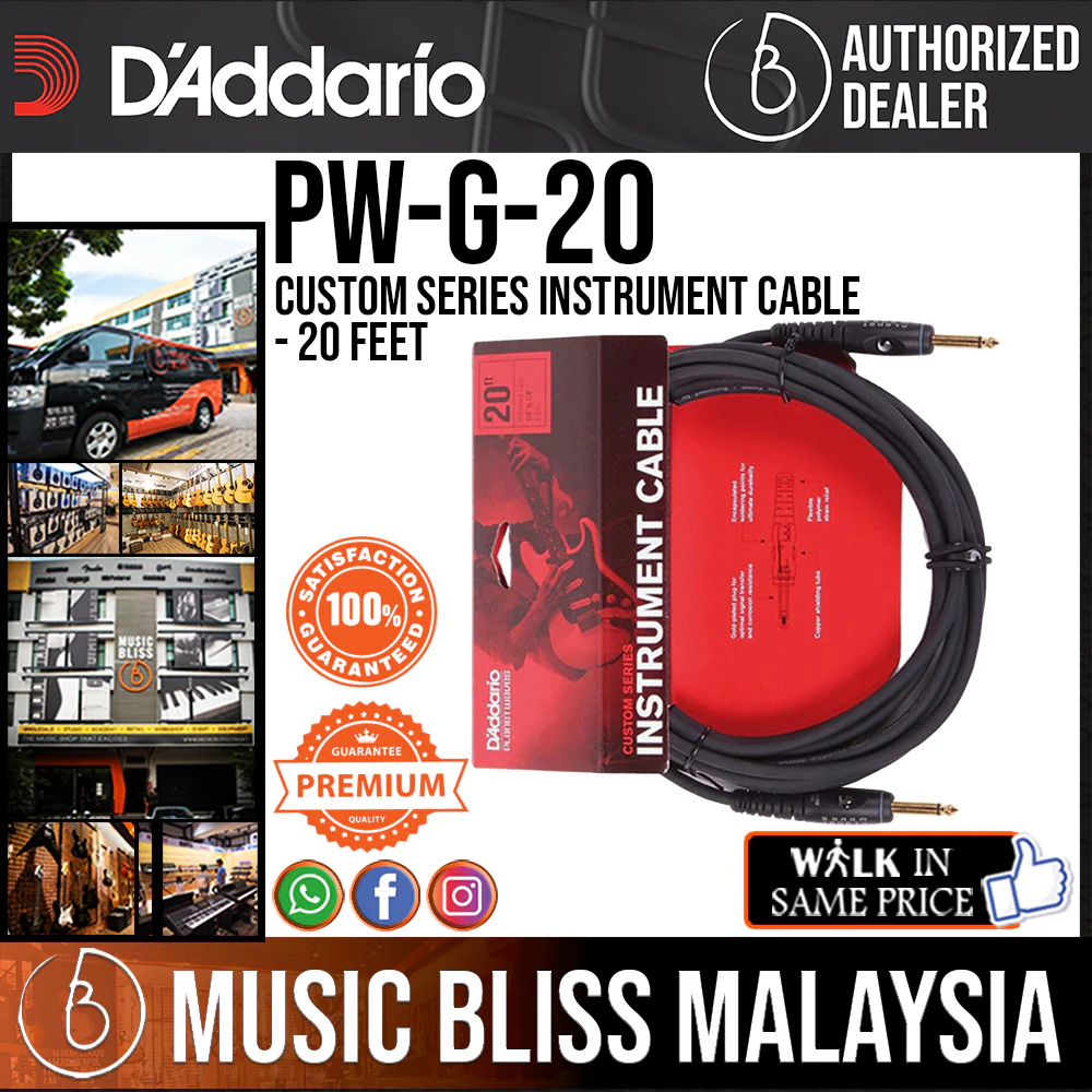 D'Addario PW-G-20 Custom Series Instrument Cable - 20 feet