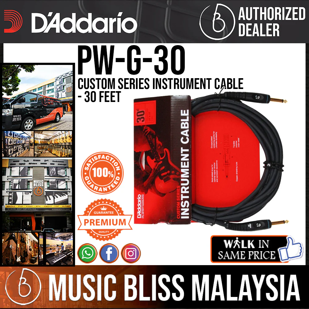 D'Addario PW-G-30 Custom Series Instrument Cable - 30 feet
