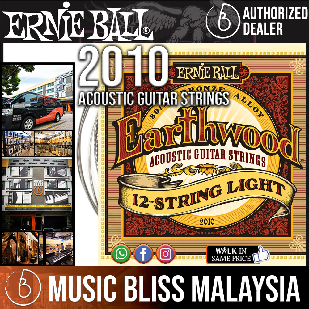 Ernie Ball 2010 12-string Light Earthwood 80/20 Bronze Acoustic Strings (9-46)
