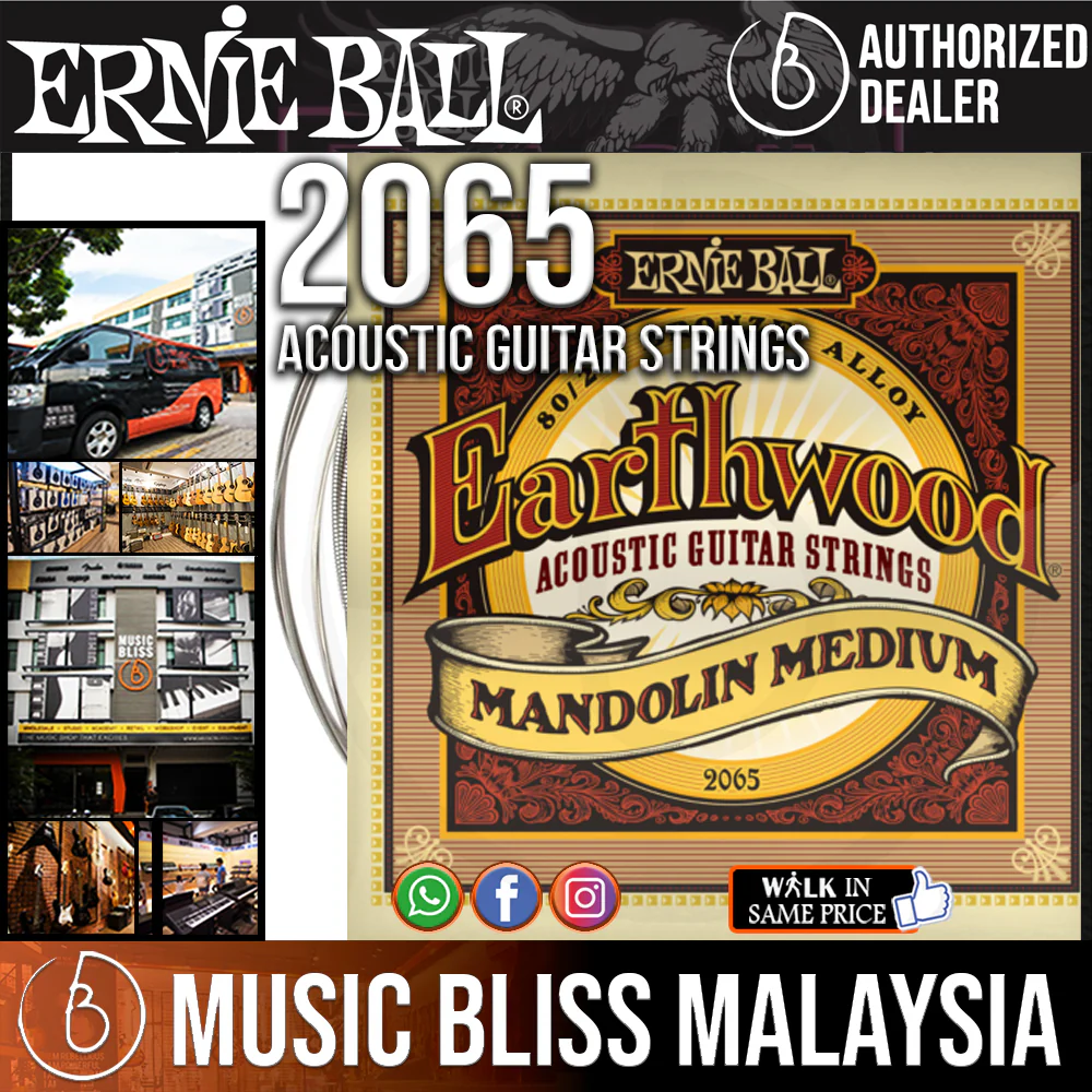 Ernie Ball 2065 Earthwood Mandolin Medium Loop End 80/20 Bronze (10-36)