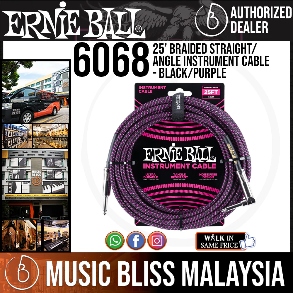 Ernie Ball 6068 25 Feet Braided Straight/Angle Instrument Cable - Black/Purple