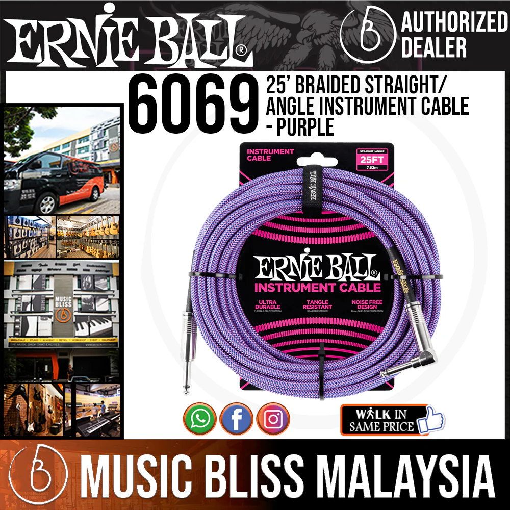 Ernie Ball 6069 25 Feet Braided Straight/Angle Instrument Cable - Purple