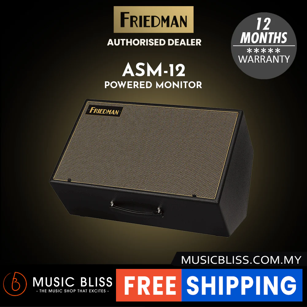 Friedman ASM-12 500-watt 1x12" Active Modeler / Profiler Monitor