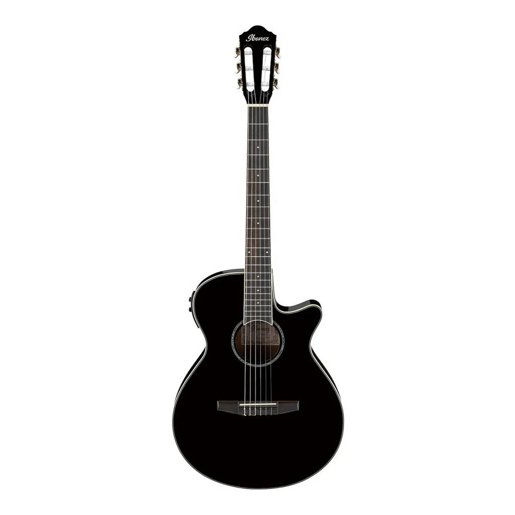Ibanez AEG10NII Nylon Acoustic-Electric Guitar - Black - Image 2