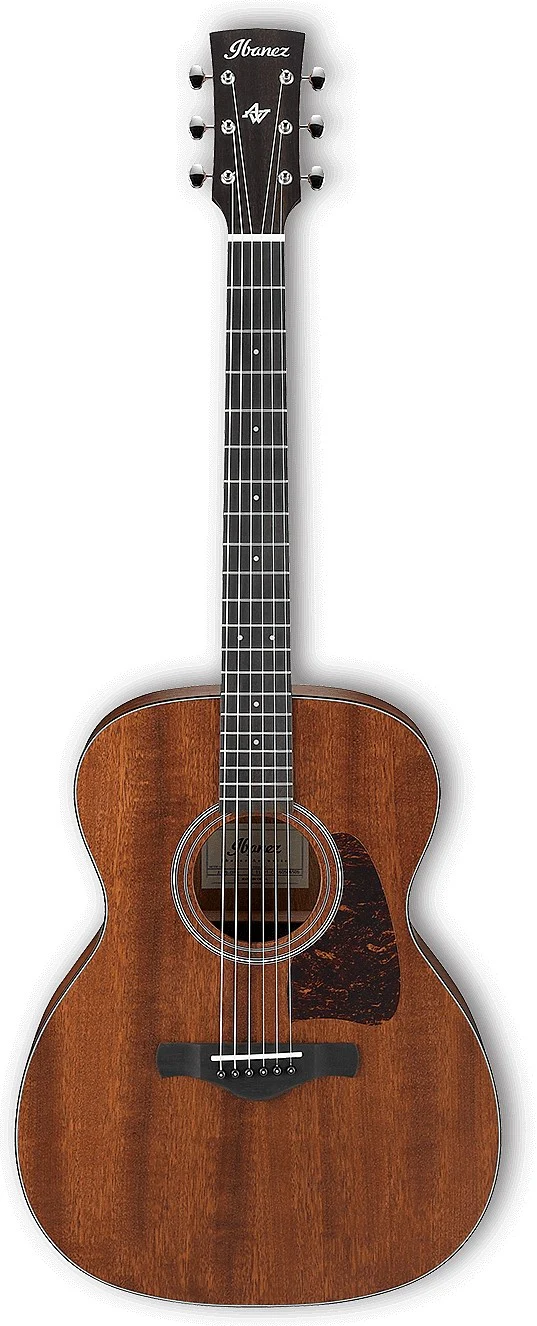 Ibanez AVC9 Artwood Vintage Thermo Aged Acoustic Guitar - Open Pore Natural - Image 2