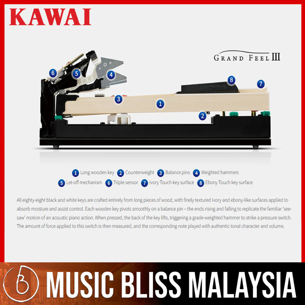 Kawai CA901 88-key Wooden-key Digital Piano - White (Grade 5-Diploma) - Image 4