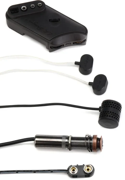 LR Baggs HiFi Duet High-fidelity Pickup and Microphone Mixing System