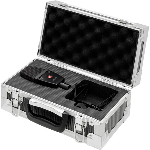 sE Electronics sE4100 Large-diaphragm Condenser Microphone - Image 2