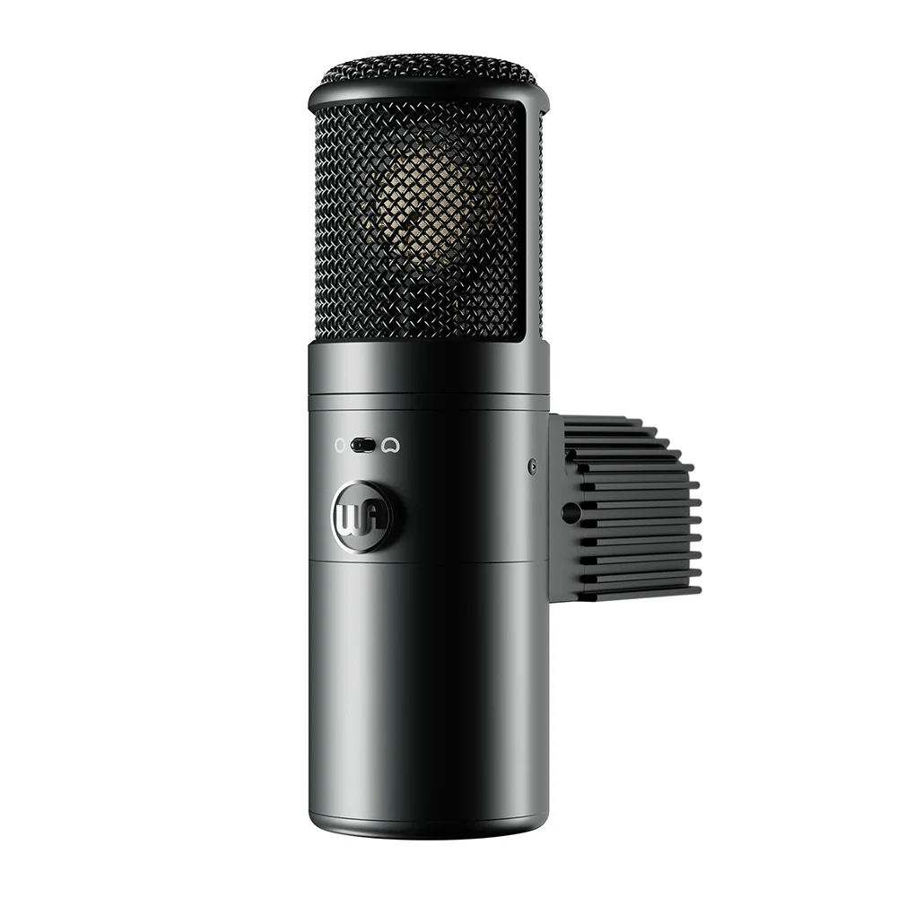Warm Audio WA-8000 Large-diaphragm Tube Condenser Microphone - Image 2